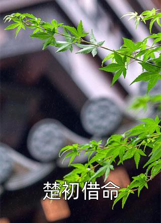 全文阅读成年游戏