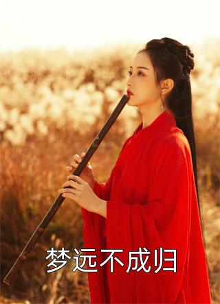 疯了吧,赘婿家人也敢动?阅读全集