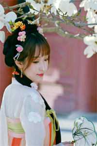 小说酥软美人成了清宫贵妃
