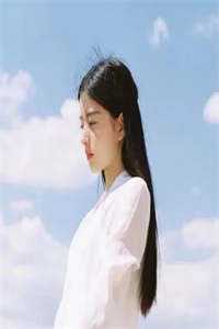 穿越后我成了朱棣的女婿精选小说