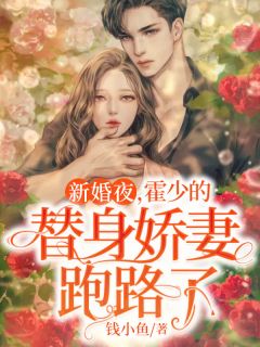 八零首富：奶爸宠妻带娃记精选小说