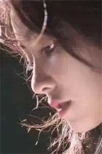全集阅读仕途美人香