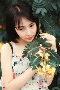 全章节无上天途