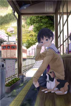 畅销巨作权臣宠妻：小医女她技多不压身