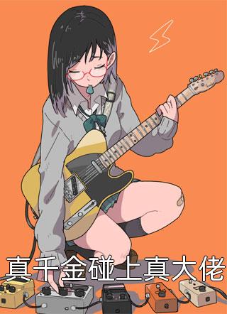 小续弦阅读全集