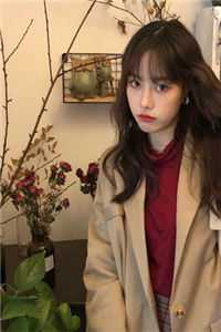 逍遥九千岁，太子竟是女儿身！全文