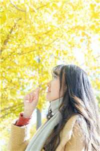 我的九个仙女师娘完整阅读