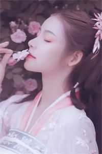 全章节官场飞龙