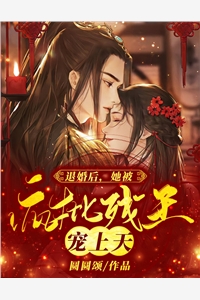 小说全集极品神枭