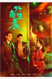 糊咖茶又媚，大佬私下哄着求亲亲完整版阅读