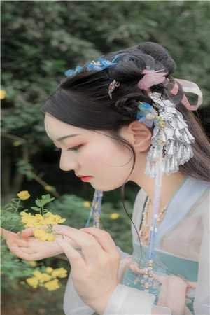 皇上掌中宝