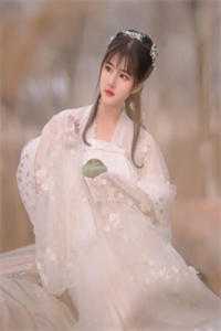 清穿：贵妃多子多福精彩小说