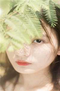 惊上一世无视我的哥哥们说要宠我全文章节