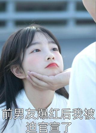 我的总裁白富美老婆火爆小说