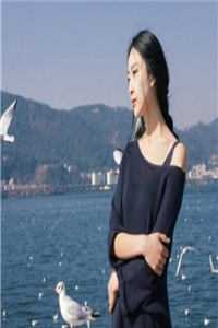 优秀文集破镜重圆:总裁化身宠妻狂魔