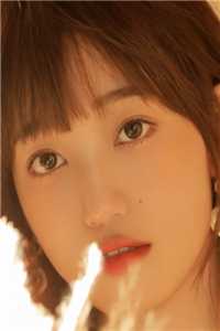 穿书后女配才是五个哥哥的真团宠畅读佳作
