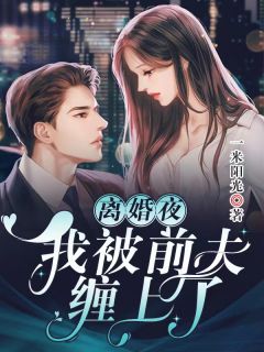 庐州月全本小说阅读