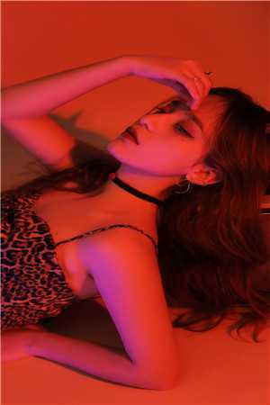 热门小说首辅宠妻：夫人哄不好怎么办？