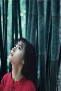 优秀文集一错成婚：神秘总裁的新妻
