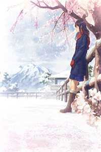 侯府宠妾灭妻？九千岁抄家求娶主母畅销书目