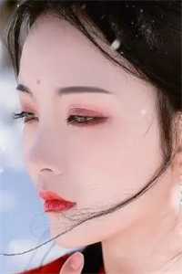 傲世英才畅读佳作