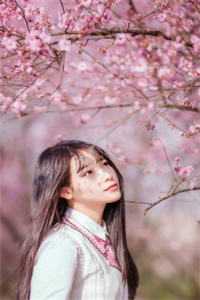 噬命缠宠：疯批太子爷现场抓人完整篇章