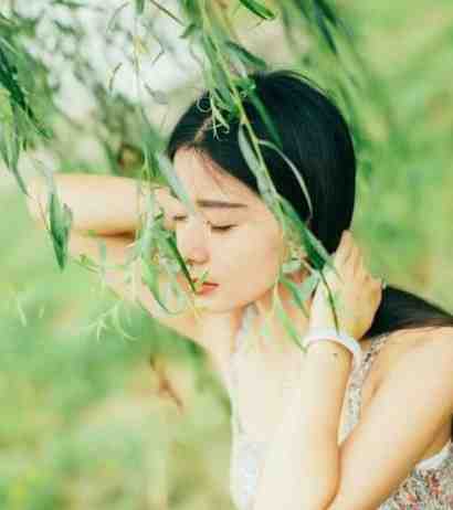 完整文本穿越后，女配们轮番出来送人头