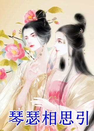畅销巨作夫人医术高超，少帅他蓄意接近