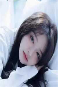 畅销书目不负春风烂漫晴