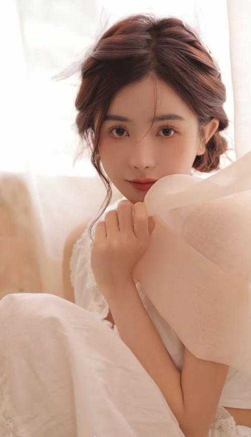 鸿运天途畅读全文