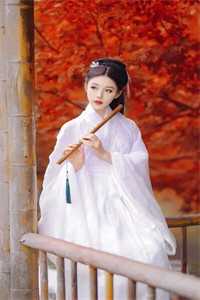 龙吞私子：从风水寻龙穴开始改命短篇小说
