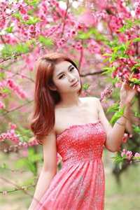 体验过女神老师,再不舔清冷校花畅销书籍