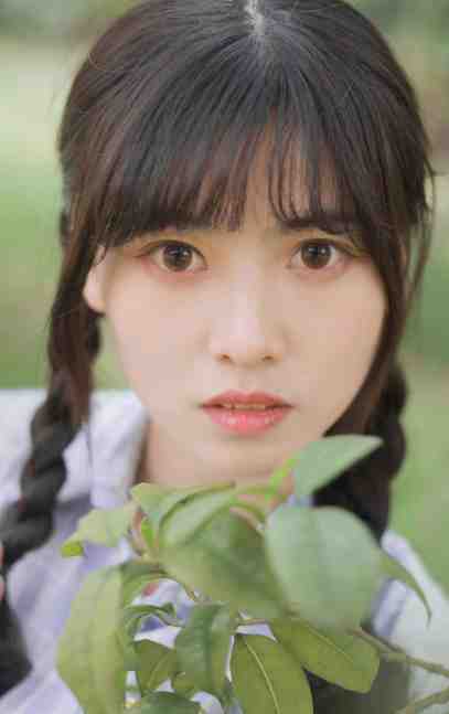 全文乱世崛起：娇娘退婚，悔不当初