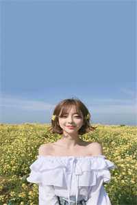 精品推介大宋：从词曲开始纵横文坛