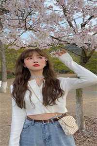 长篇小说莲花楼：世间再无李莲花
