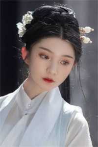 全本小说引凤台