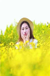 江帆沈青青同学盲盒免费全本小说推荐