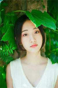 神医弃妃：父王，娘亲有喜了畅销巨著