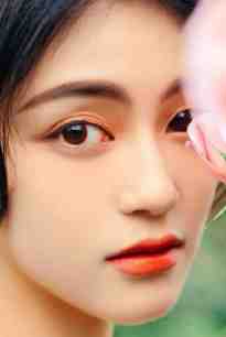 精品小说百兽之王