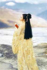 全文章节炮灰叼奶瓶，带全家逆袭
