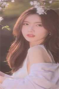 甜宠：芝麻小官为爱成权臣了精品文