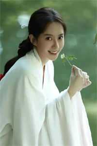 战神归来：夫人马甲又A又飒全文