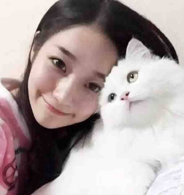煞神下乡：女杀手穿到了六零年