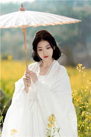 夫人从深渊来