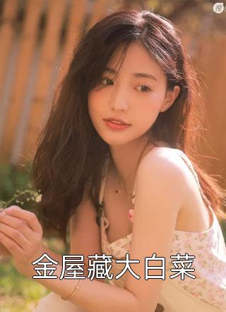 全章节穿进港综世界:终极目的是搞钱