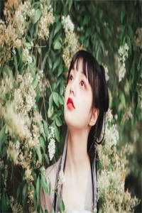 白龙帝君