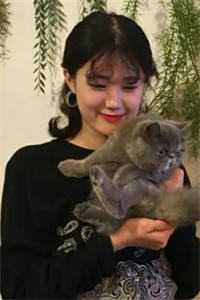 全本阅读洪荒：末代人皇，子孙越多人越强