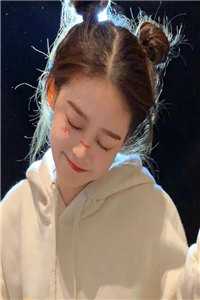 优秀文集婢子有喜