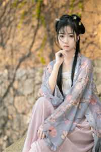 长篇小说从赘婿到女帝宠臣
