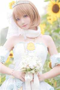 婢子绝色全文浏览